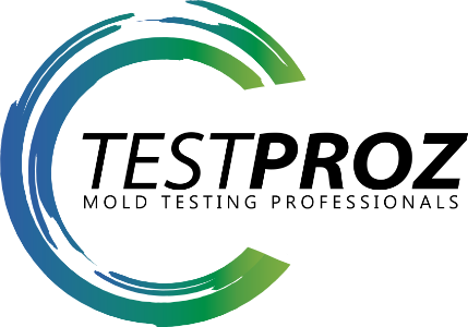 TestProz Home Inspections